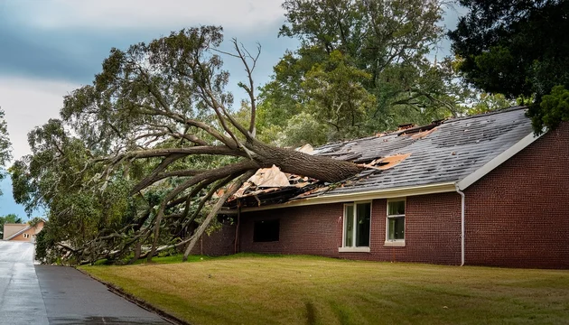 Storm Damage Roof Inspection Aberdeen Washington 98520 | Local Roofing Contractor
