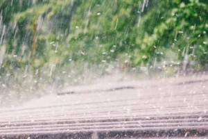 Roofing Contractor - Frisco, Texas 75035